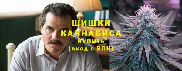 ГАЛЛЮЦИНОГЕННЫЕ ГРИБЫ Алзамай