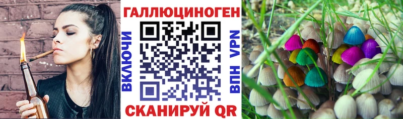 Галлюциногенные грибы ЛСД  Бобров 
